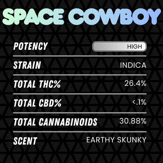 DubZotics Space Cowboy THC-A Flower