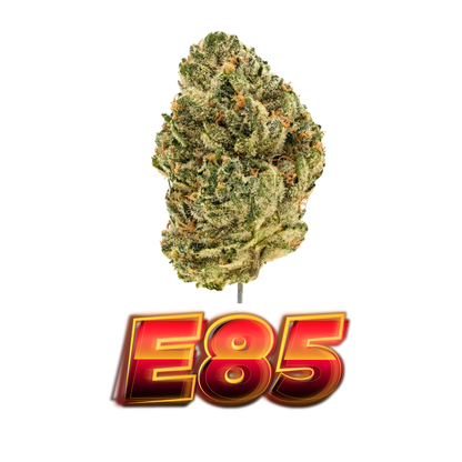 DubZotics Indoor Exotics THC-A Flower