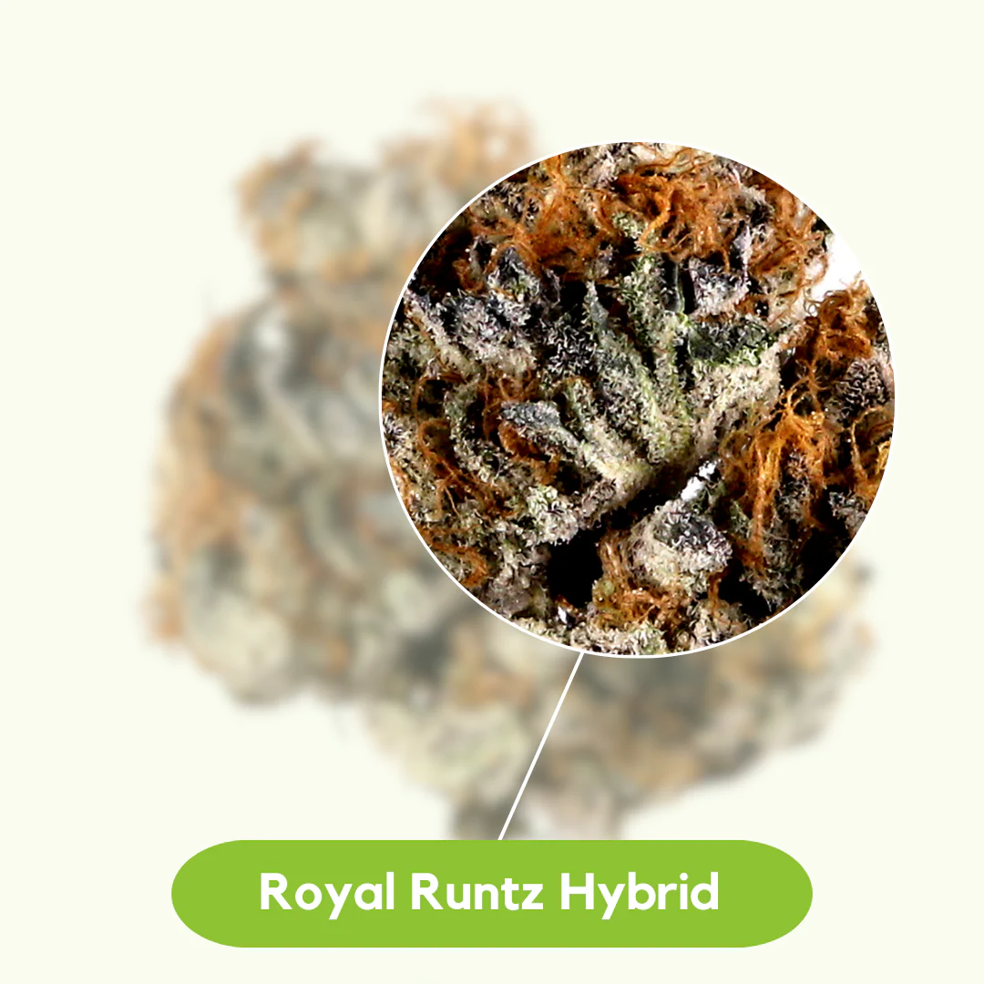 Sticky Green Private Reserve 1g