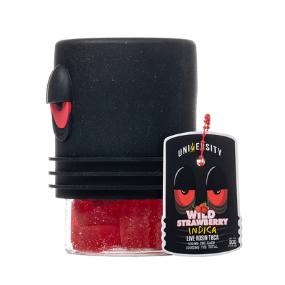 University THCA Live Rosin Gummies 10000mg